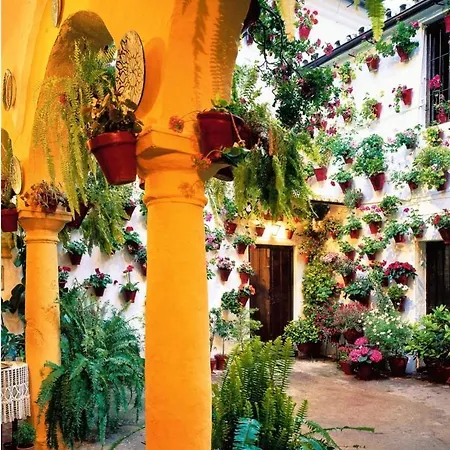 La Terraza Del Puente Y Mezqt-catedral