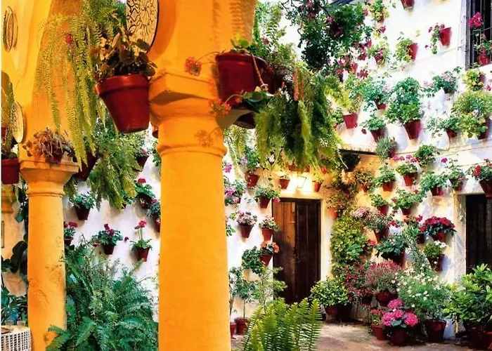 La Terraza Del Puente Y Mezqt-catedral