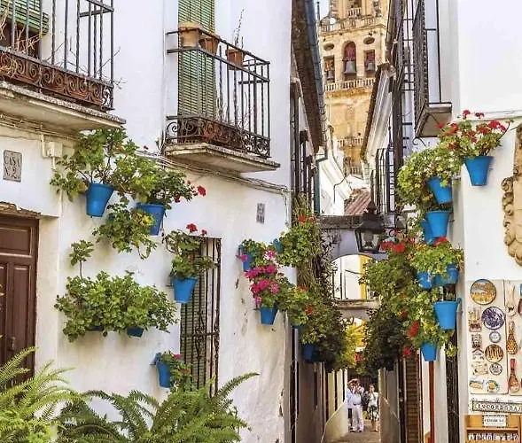 La Terraza Del Puente Y Mezqt-catedral