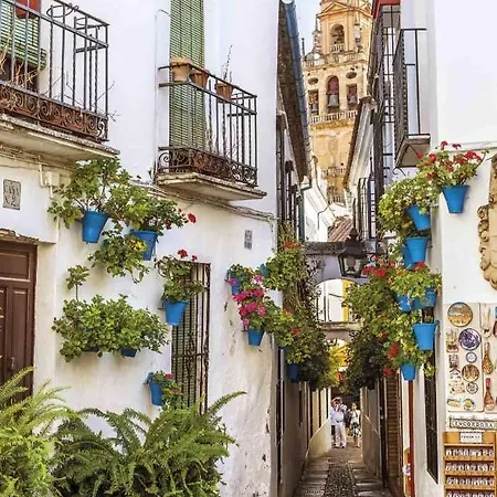 La Terraza Del Puente Y Mezqt-catedral